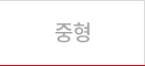 중형