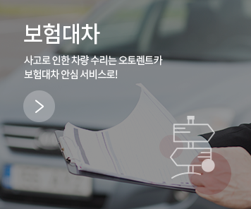 보험대차